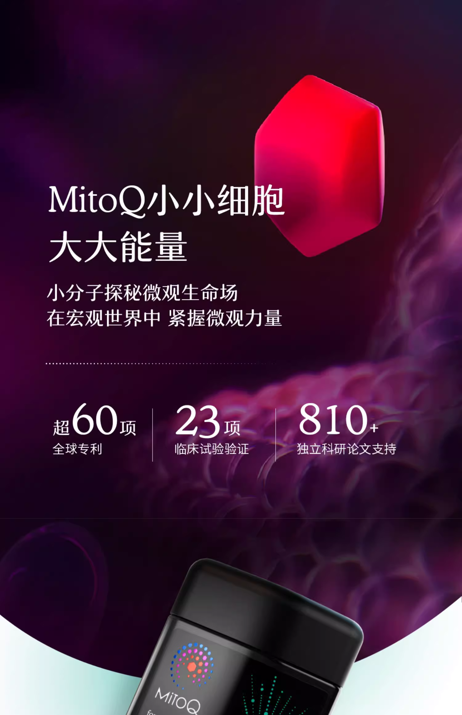 b52e1ac2464589e2d4d4c53e9e4c7eb8_O1CN01PgHIhI1XJANCyW3w7_!!2201209122902.jpg